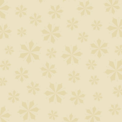 Heidi Grace - Snowflake Park - Mono 12x12 paper  (pack of 10)